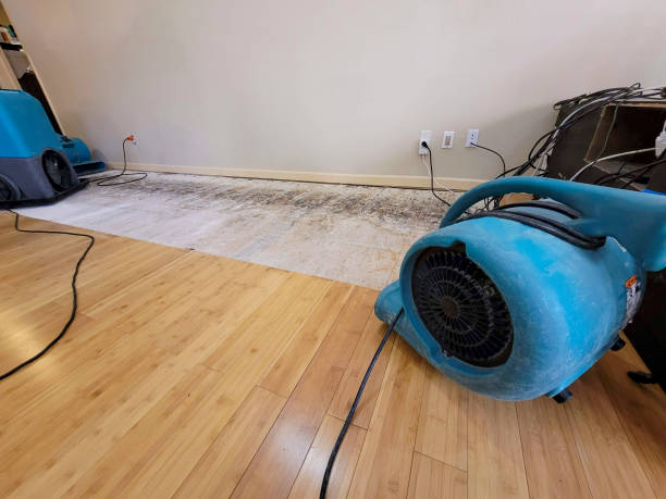 Professional Water Extraction technician working in Holton, KS